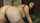 What's the name of this porn star?