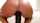 anal