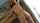 What's the name of this porn actor?