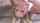 What's the name of this porn actor?