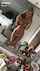 What's the name of this porn star?