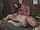 What's the name of this porn star?