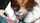 redhead public
