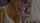 What's the name of this porn actor?