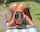 tiny teen teamskeet