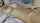 masturbation webcam