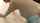 Who is she, or what movie is this dp scene from?