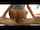 blackhaired vaginal sex couple
