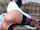 chaturbate