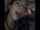 What's the name of this porn actor?