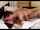 teen amateur blowjob
