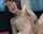 What's the name of this porn star?
