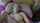 What's the name of this porn actor?