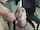 cumpilation