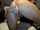 british camgirl webcam