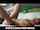 mofos oral sex blowjob