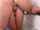 teen bathroom oral sex
