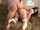 What's the name of this porn actor?