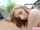 masturbation outdoor solo girl