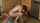 teen amateur redhead