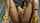 What's the name of this porn actor?