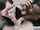 blowjob amateur brunettes