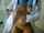 camgirl