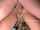 domination caucasian amateur