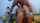 What's the name of this porn actor