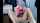 chaturbate