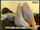 masturbation caucasian webcam