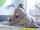 teen blowjob hd