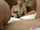 oral sex blowjob party
