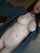 What's the name of this porn star?