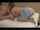 point of view teenager chubby