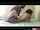 teasing retro