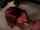 blowjob oral sex caucasian