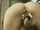 caucasian blonde hd