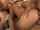 oral sex caucasian deepthroat