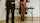 clips4sale