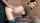 russian facial teen