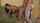 teen