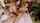 What's the name of this porn actor?