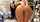 ftv ftvgirls