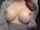 mother bbc