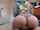What is the name of this porn actrees?