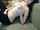 cam camgirl masturbate