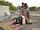 girl on girl interracial 3some