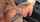 white girl big ass bangbros