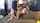 What's the name of this porn star?